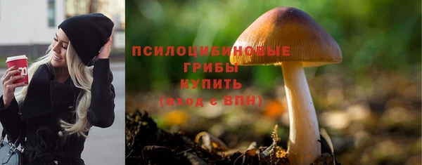 ГАЛЛЮЦИНОГЕННЫЕ ГРИБЫ Абинск