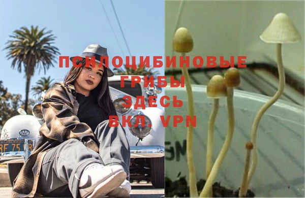 ГАЛЛЮЦИНОГЕННЫЕ ГРИБЫ Абинск